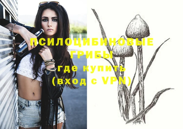 шишки Абинск