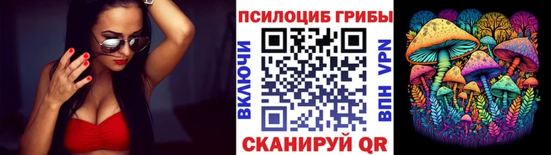 Галлюциногенные грибы Psilocybe  купить наркотик  Монино 